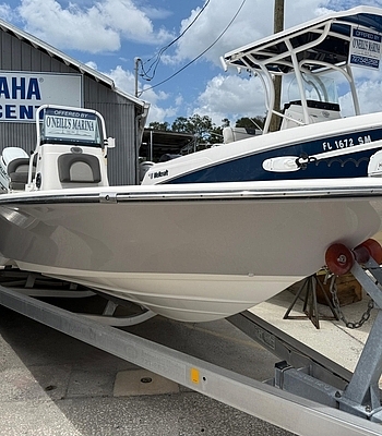 Sea Born Boats